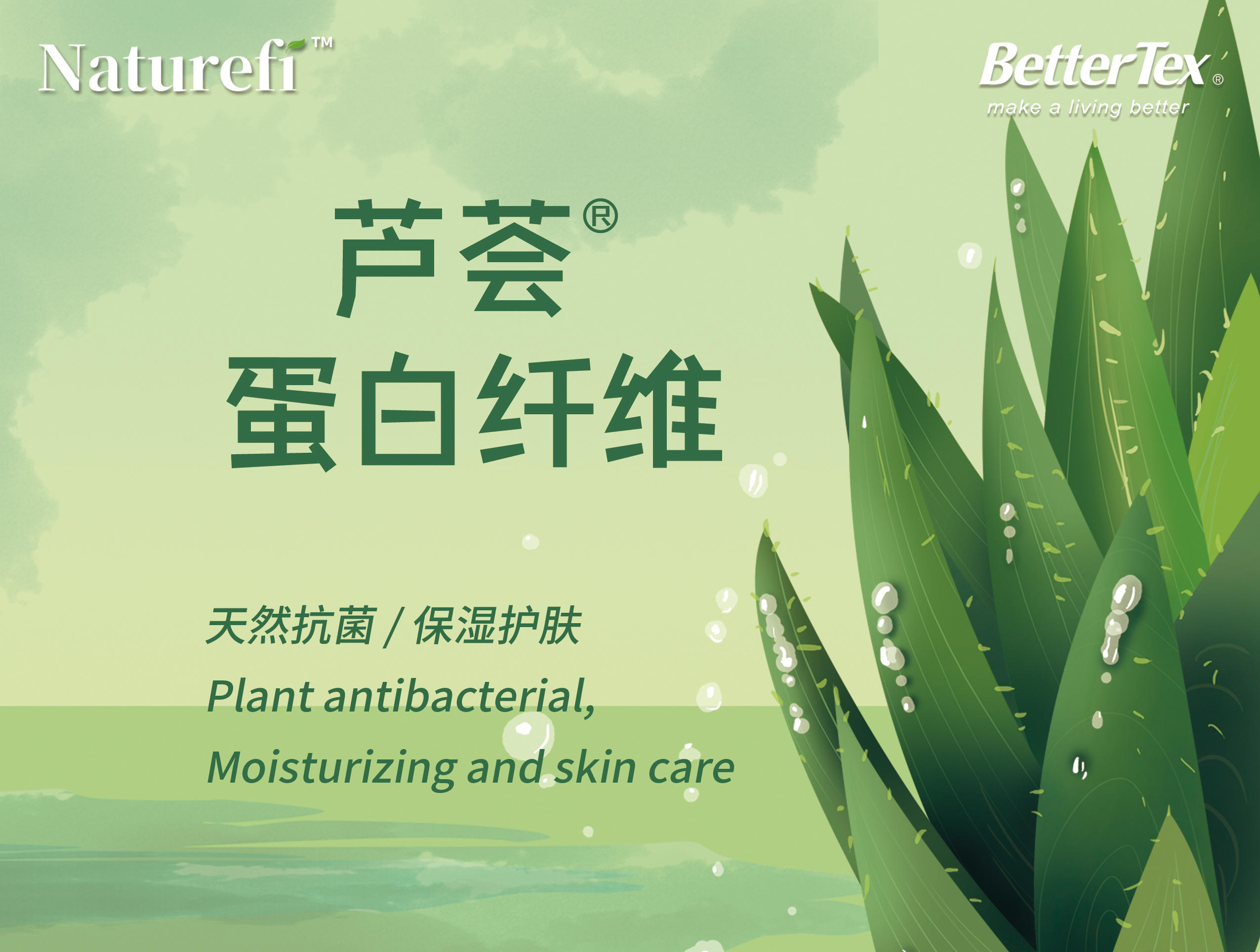蘆薈蛋白.jpg